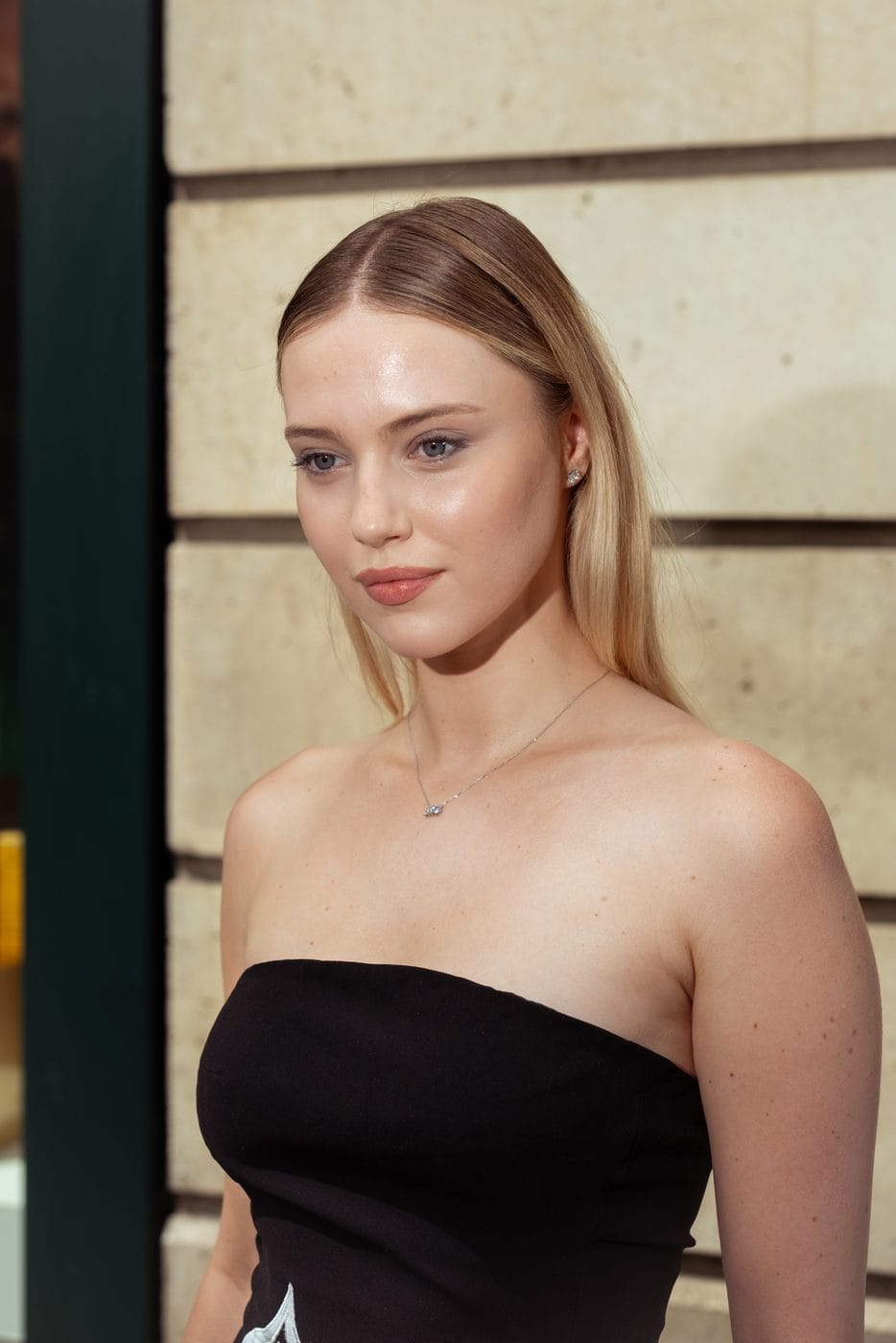 Stéphane Rolland, arrivals, Paris Haute Couture Week, photograph 57